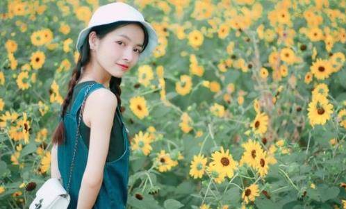 什么如麻成语_成语心乱如麻的图片(3)