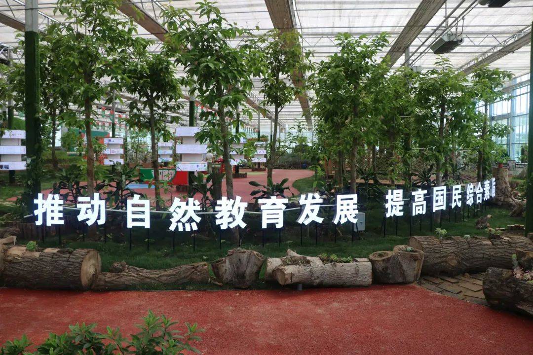 上海自然教育 劳动实践基地 手工制作 研学基地 农业科普教育 劳动