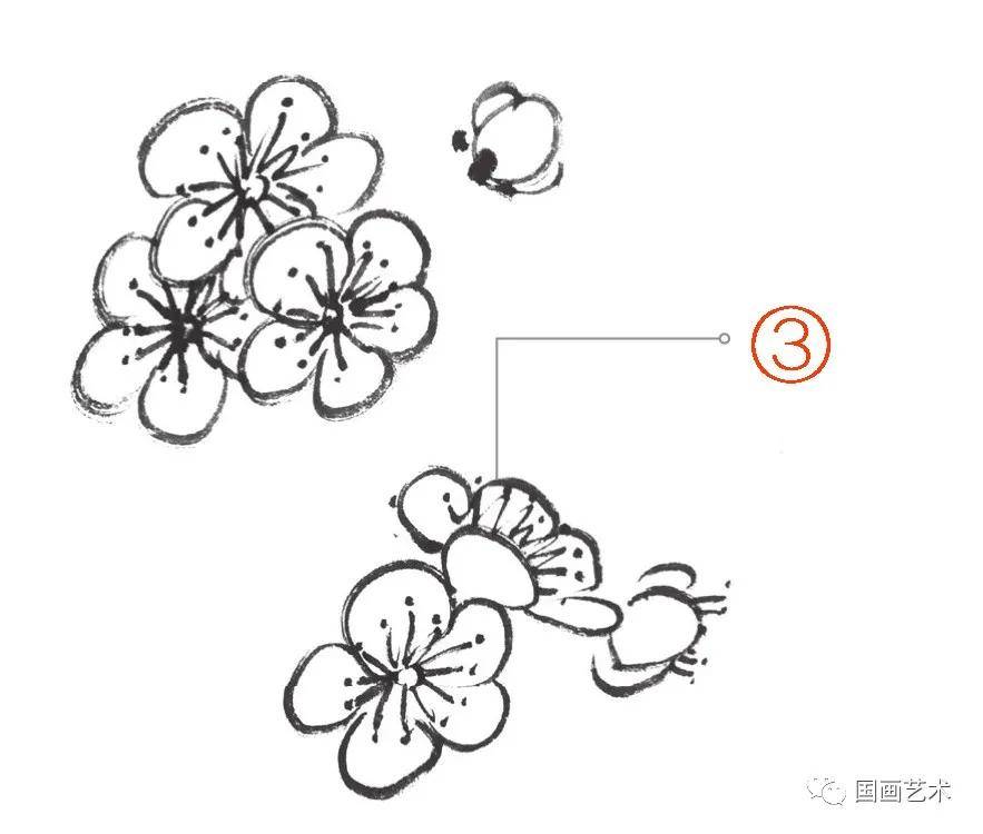 图文教程：白梅、红梅、腊梅写意画法示范_手机搜狐网