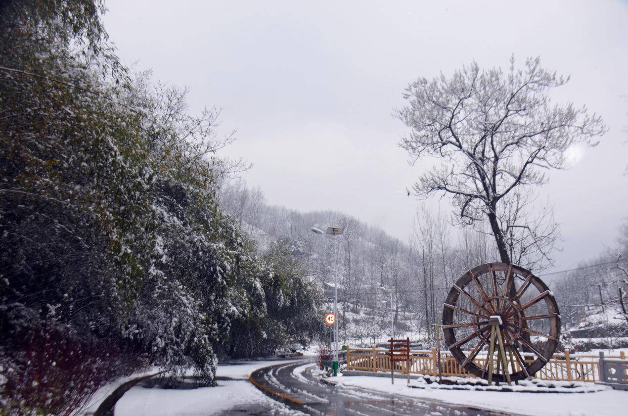 洛阳又遇降雪，老君山是洛阳旅游首选？这个小众景区同样美得惊艳