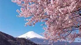 奇闻趣事：你知道吗？日本的富士山原来是租的？
