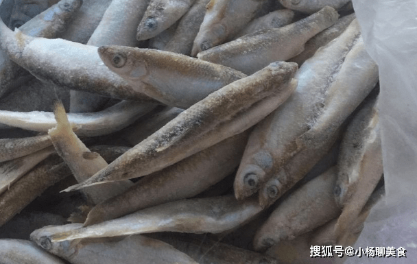 怎么解冻鱼最好 43a303a1fd874558b013496d6509b118.png