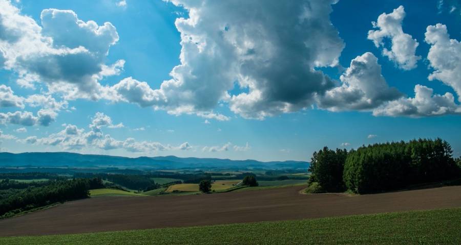 家电业无大事但一线市场无小事-家电圈官网