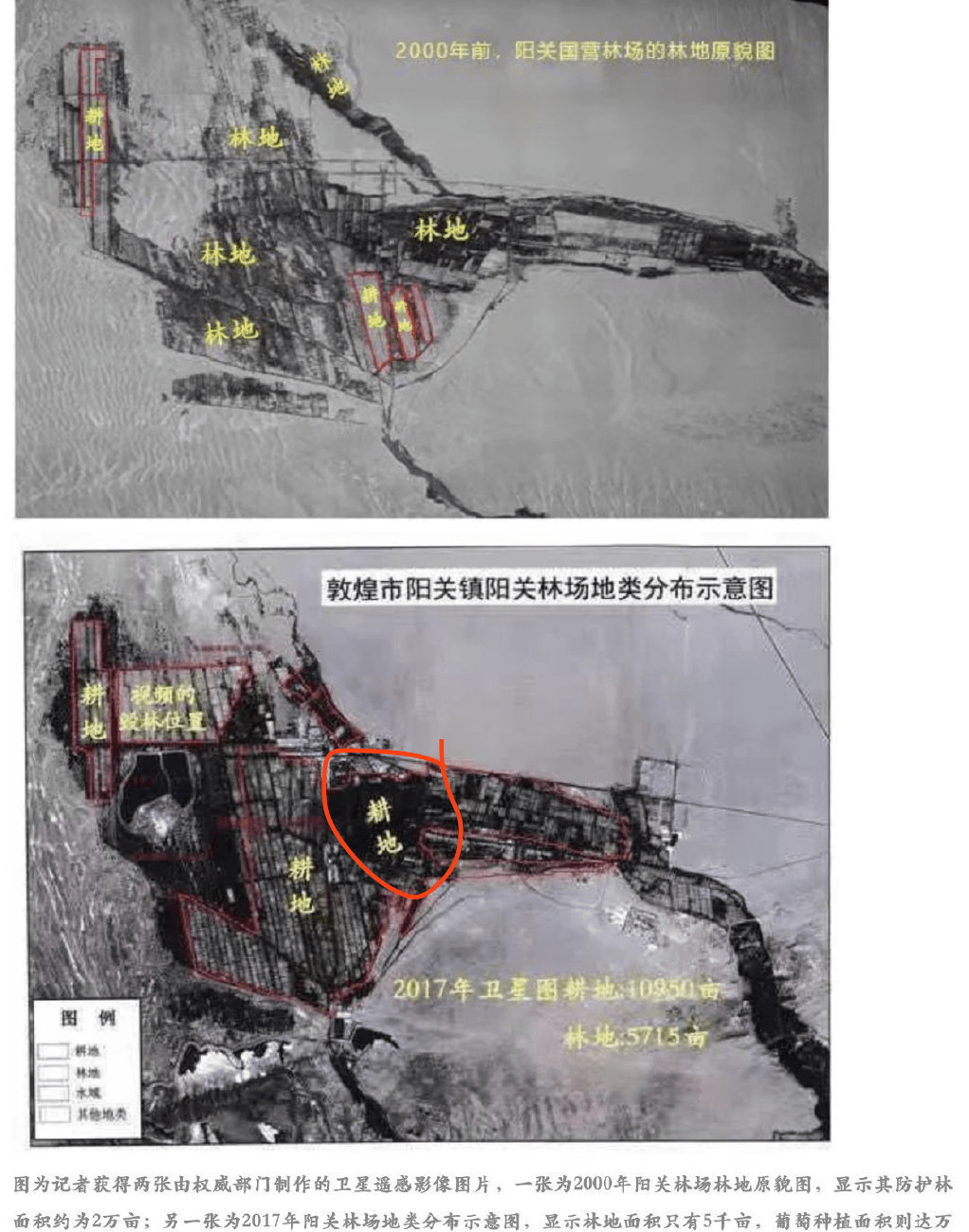 国营阳关林场的真实面积核算(6900亩林地,3700亩葡萄园),来自今天上午