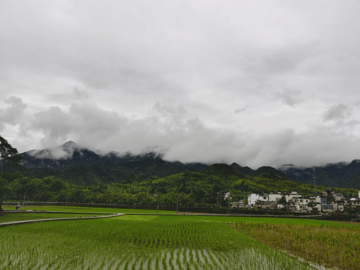 大驾旅行小朱自驾——绩溪龙川，新安江2日游游记