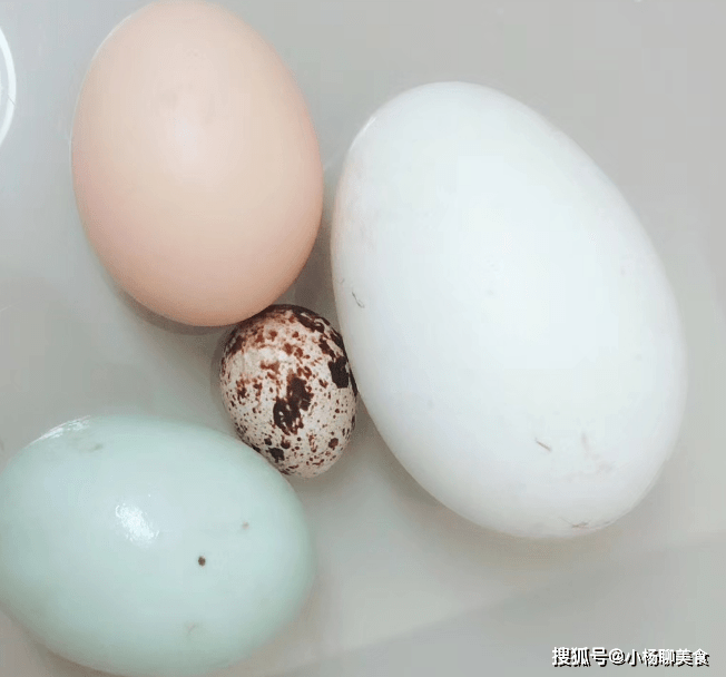 鸡蛋,鸭蛋,鹅蛋哪种营养更高?很多人都想错了,不是越贵越好