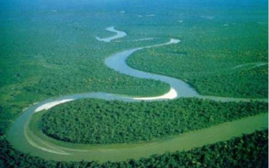 亚马逊热带雨林到底有多恐怖？看似人间天堂，实则生命禁区