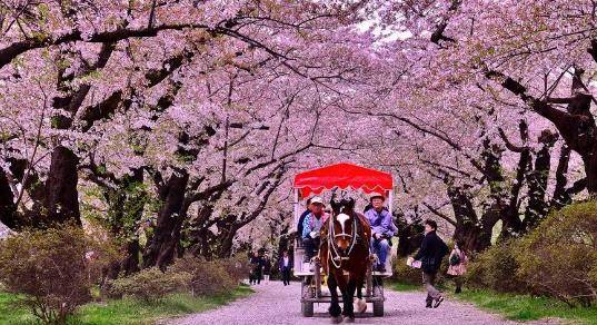 日本上空出现“巨型人脸”，直勾勾的盯着行人，游客：晚上更瘆人