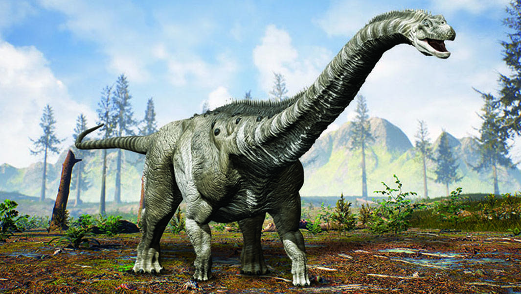 而且,南美洲不止有这几种巨型恐龙,包括体重超过30吨的施氏无畏龙