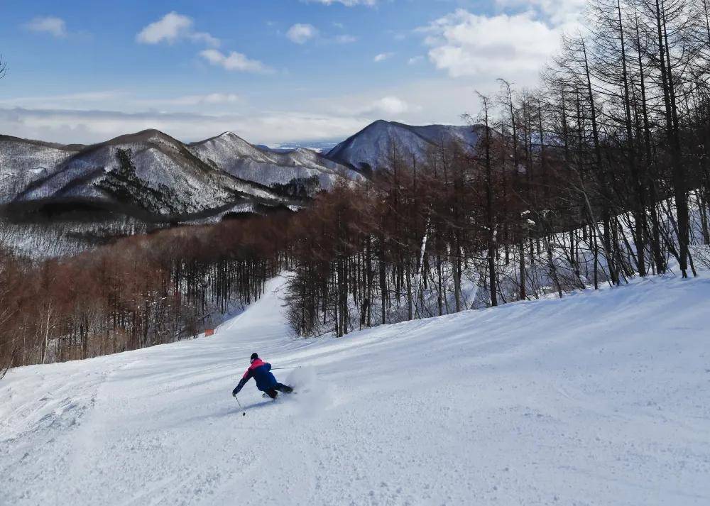 在SPRINGVALLEY仙台泉滑雪场享受滑雪 宽阔雪野无虞疫情影响