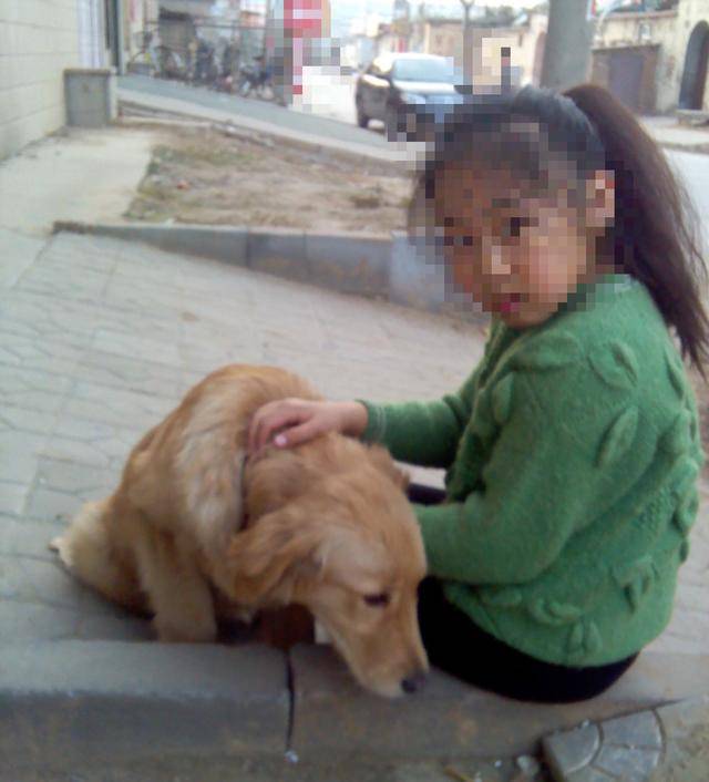 金毛把鄰家小孩子嚇哭，孩子卻愧疚的對狗狗主人道歉！ 萌趣萌寵 第4张