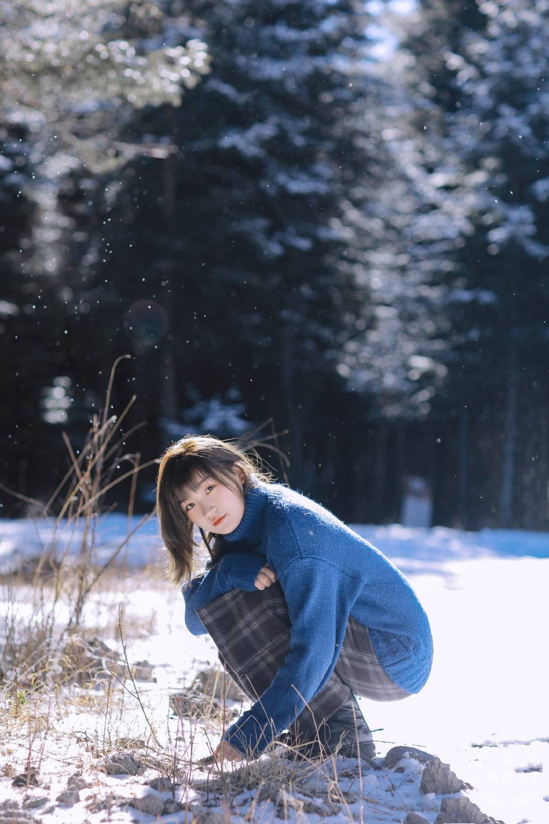 雪地里的唯美小清新