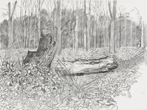 作品赏析回归素描的美感大卫霍克尼素描风景作品