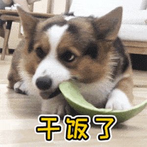 69521f3760214b7a88b47cfc22bcd12b.gif