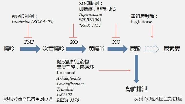 排尿酸 搜狐网