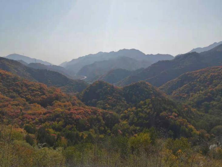 饭扫光自热米饭，寻味踏景，始终有你一路相伴