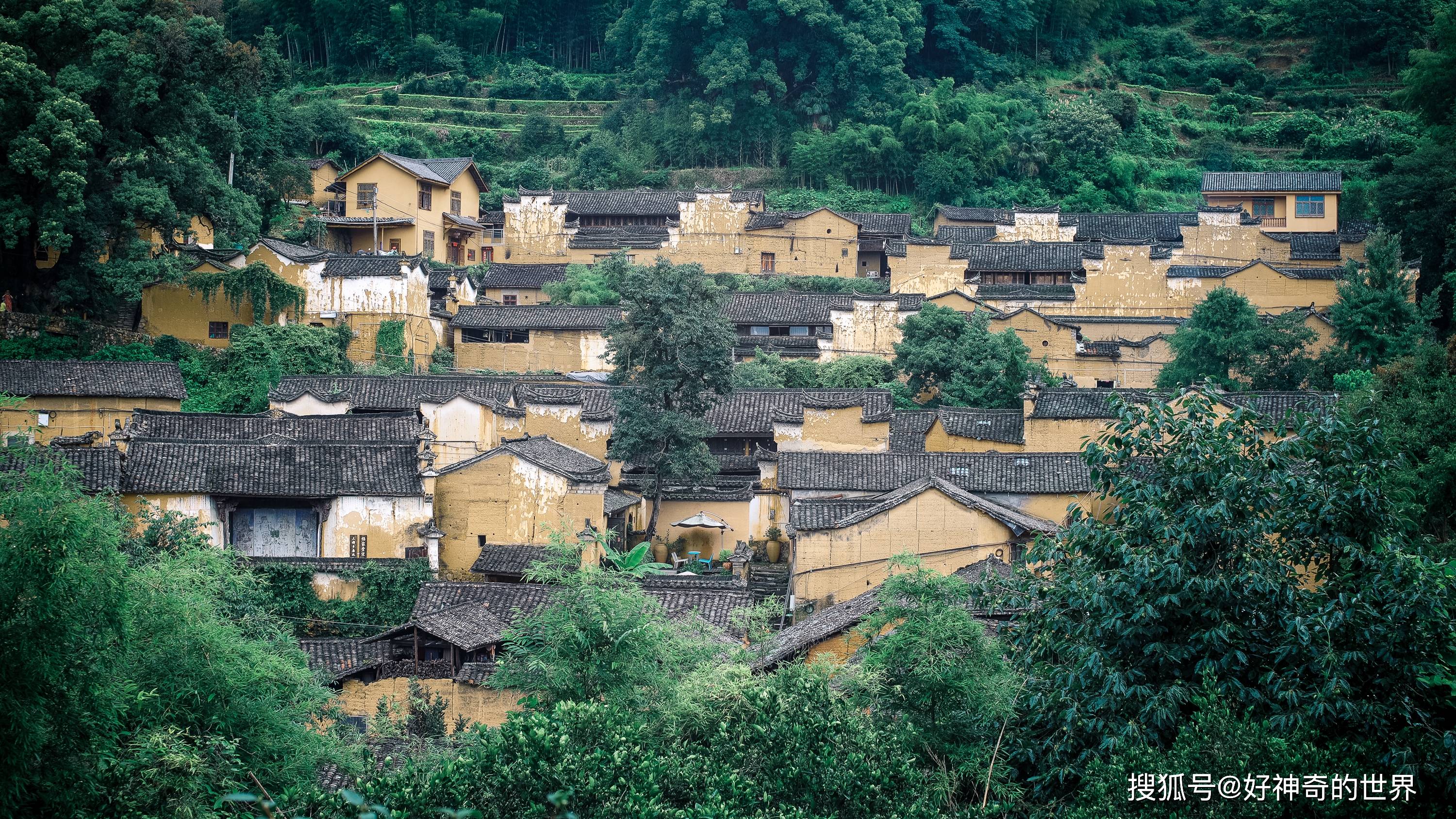 以古树命名，景美还辈出人才，浙江这个小山村隐秘却成旅游打卡地