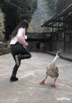 图片[1]-GIF搞笑段子：我这做鹅容易么，天天拉着我陪你跳绳，下蛋的时间都没有···-妖次元