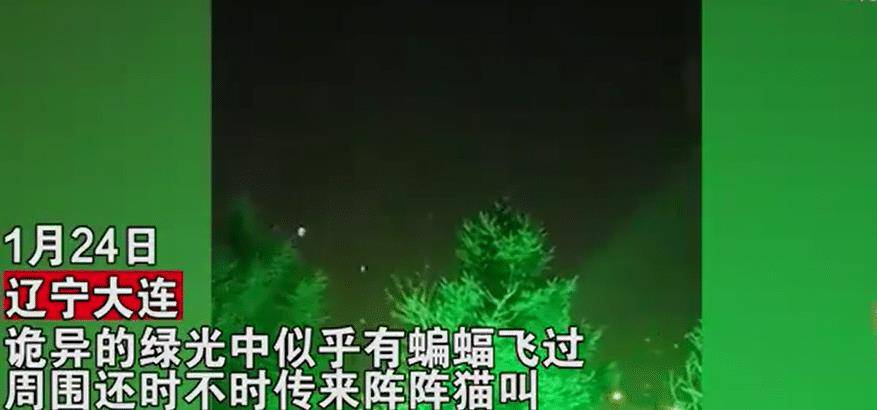 912d5a6cb78544228297956ea698eb08.jpeg