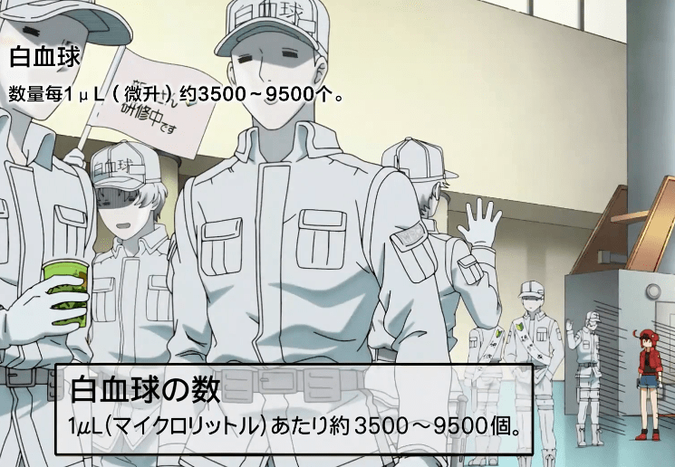 原创让央视破例引进的日漫大年初二播我却担心它步熊出没后尘