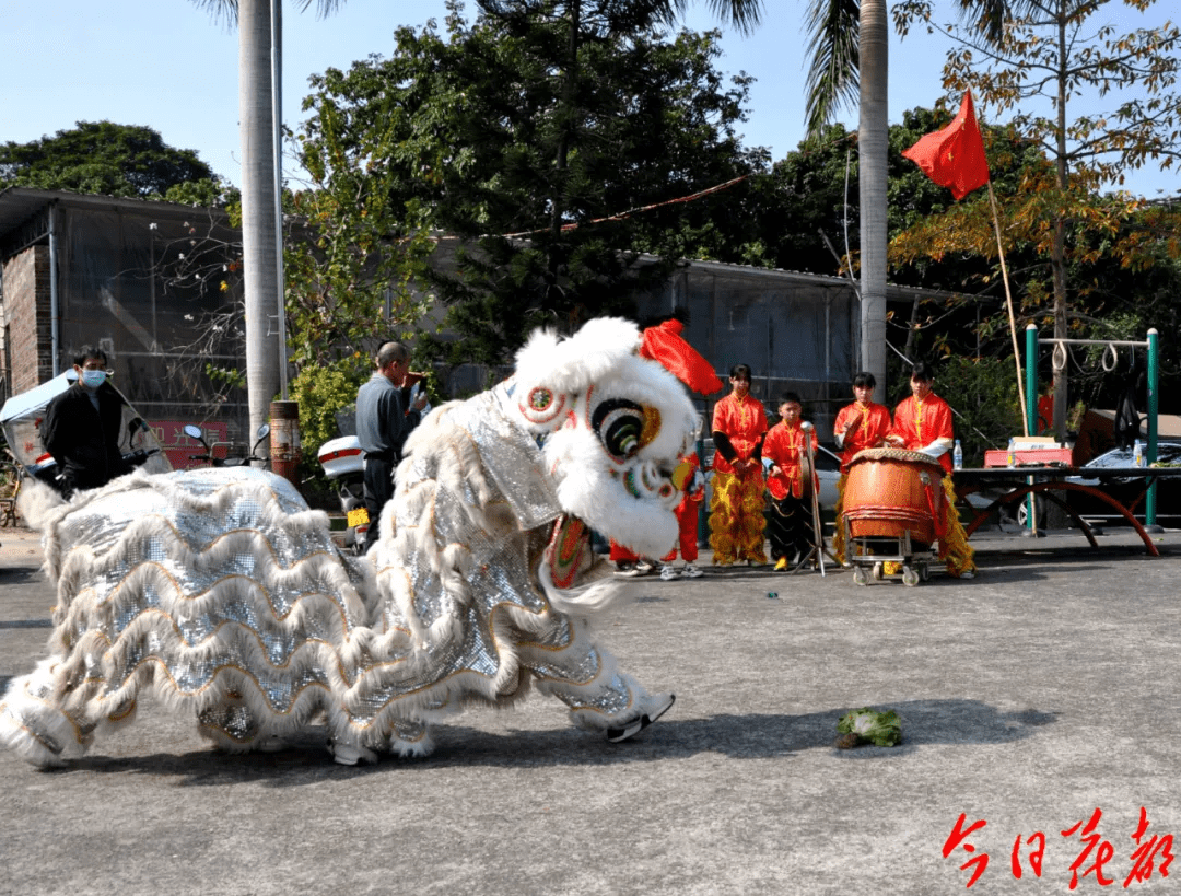 【点赞】刚柔并济!来一睹花都女子醒狮队风采