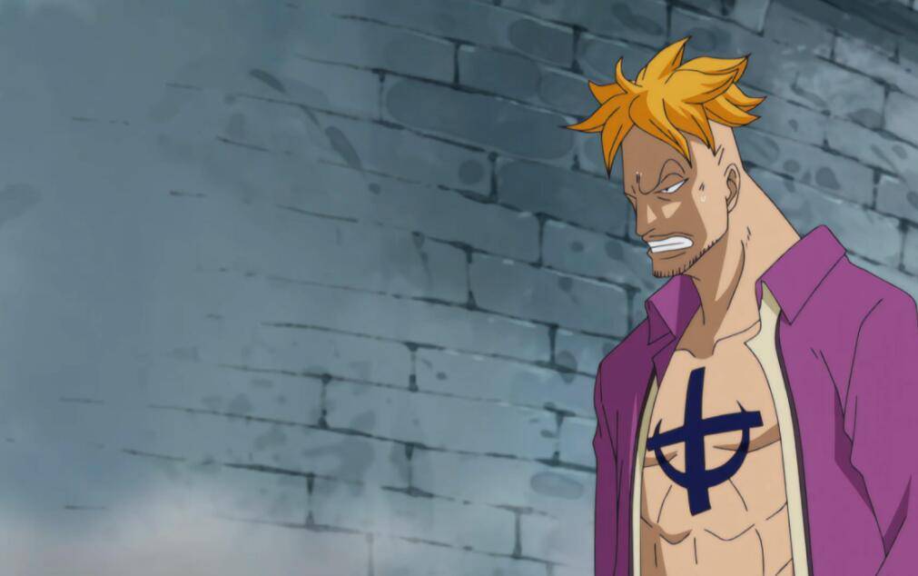 海贼王马尔科可能成为新皇重振白胡子概率并不低