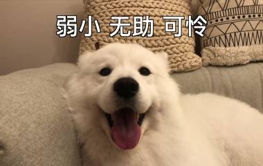3ed8981dd740427cb013b5a0bf57c97d.jpeg