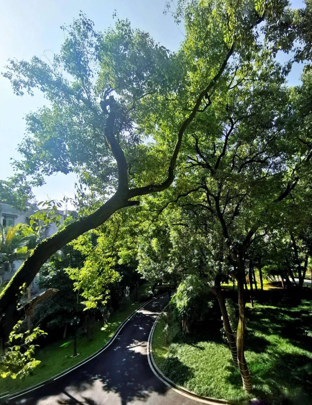 【创建天府旅游名县】简直爱了！四川兴文的天空美呆了！