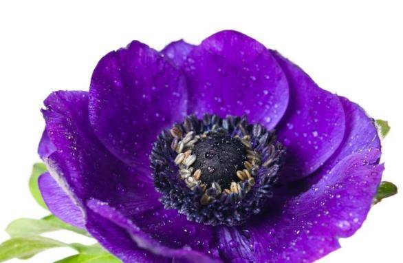 为什么眼睛会花是哪里出现问题 8439989bcf8640f3a38c6ff3d3d696d0.jpeg