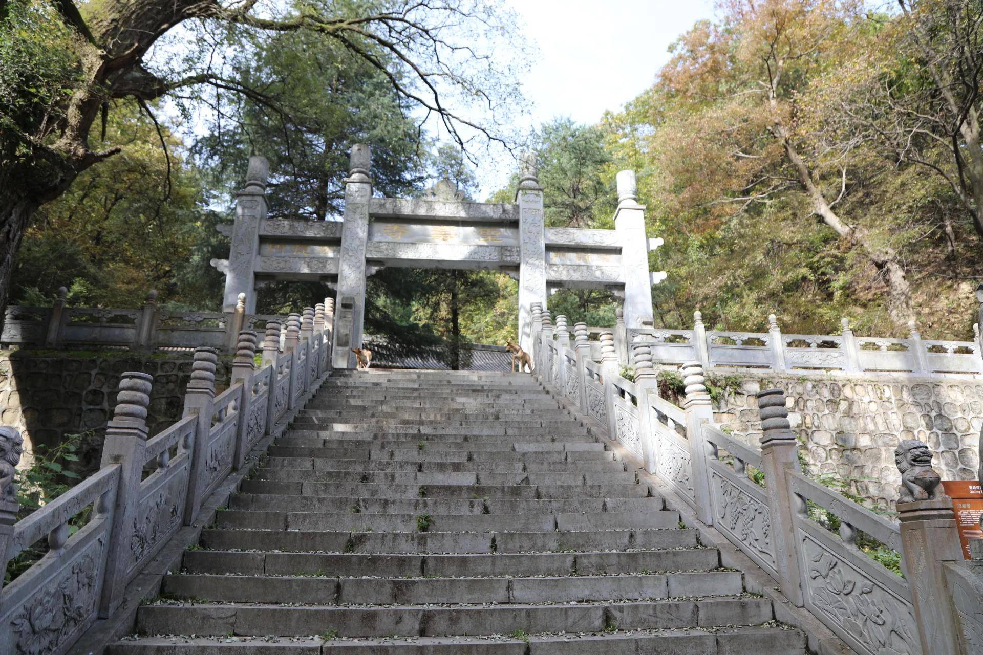 迎春纳福南五台，登高望远一年好景