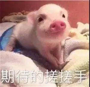 844cf522777046c8b8f8c4b3d35eee80.jpeg