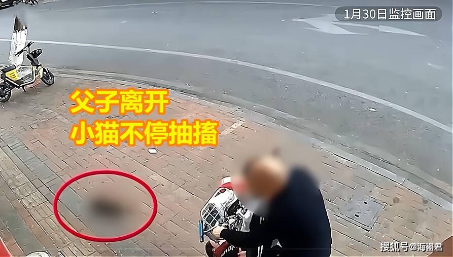 广东一男孩2次目睹爸爸虐猫:第一次害怕不敢看,第二次淡定发笑_孩子