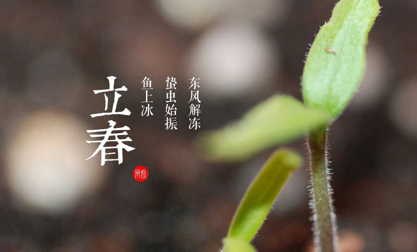 狐大医今日立春一起咬春吃萝卜