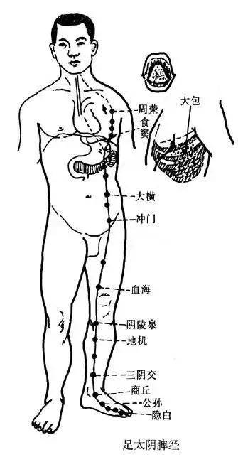 什么是反骨图解 4809733591024eee87084af66b0b6cae.jpeg