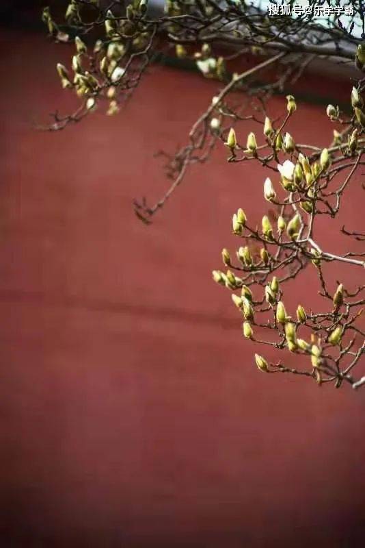 繁什么花成语_成语故事图片