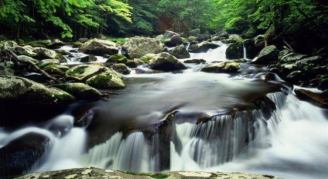 清泉石上流的上一句 11bfa9dbc561438ca410bd7fe85eeeda.jpeg