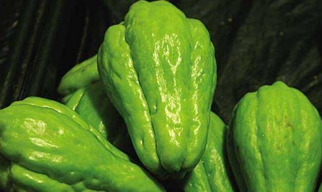 佛手瓜功效与作用及食用方法 7df90f01368b41cfac28c63564d318b1.jpeg