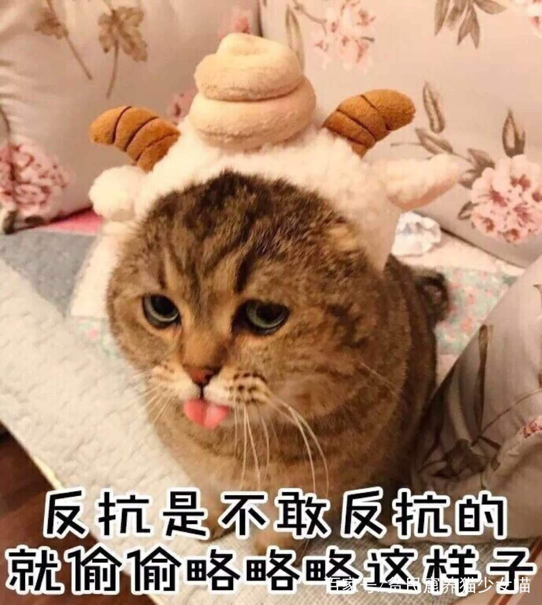 b2c48db5b89847f892e852e0bbb31908.jpeg