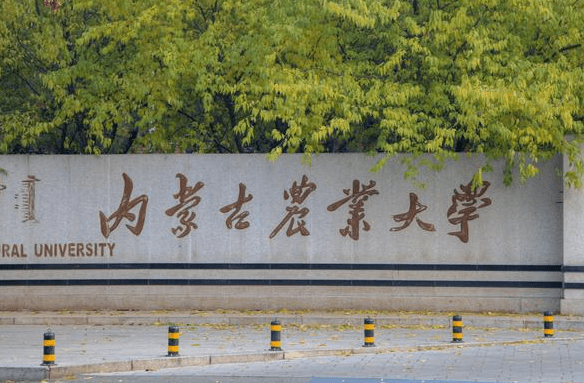 这3个地方被称是"教育净土",没有野鸡大学,正规大学性价比高