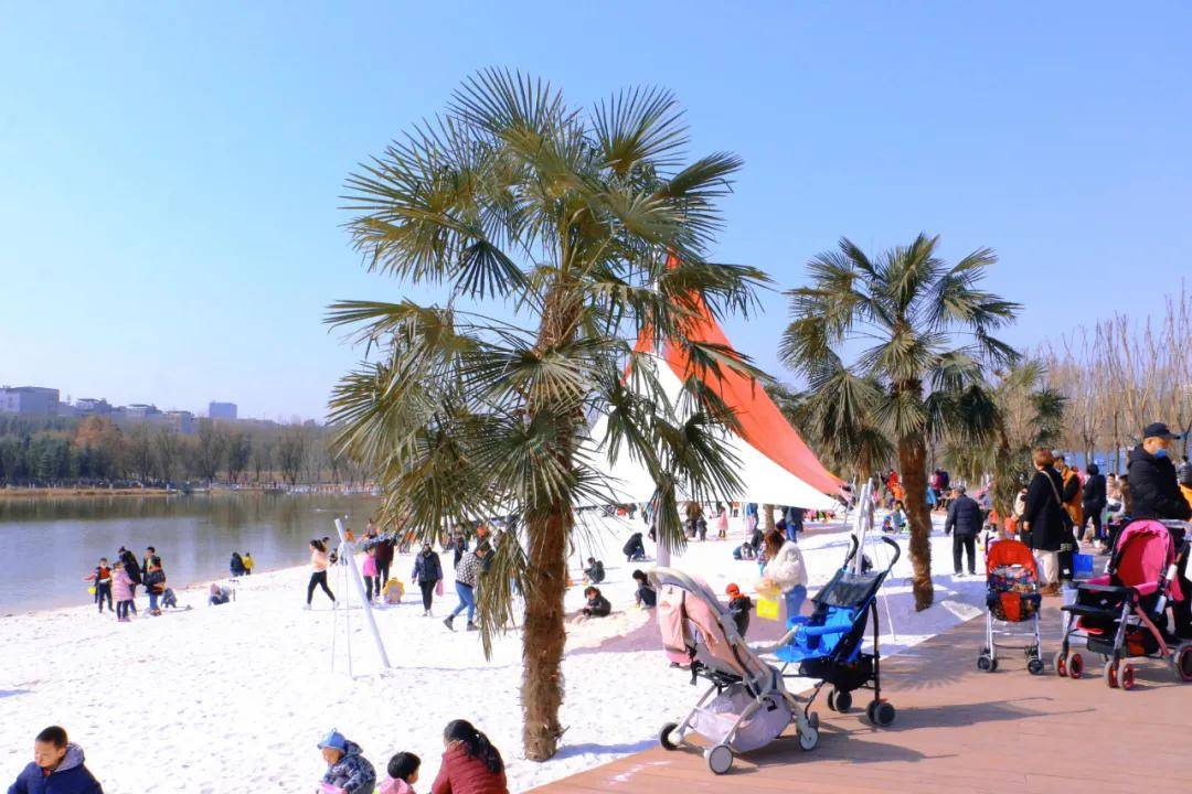 超大湖景、棕榈沙滩...西安又一“网红”公园免费开放啦！