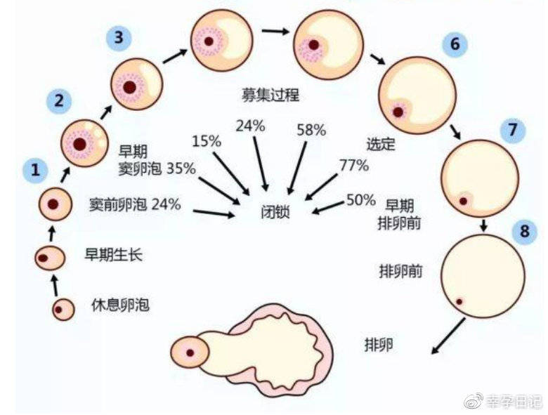 台湾试管成功率 台湾省试管婴儿的优势 ‘怀孕37周怀女孩有什么症状’