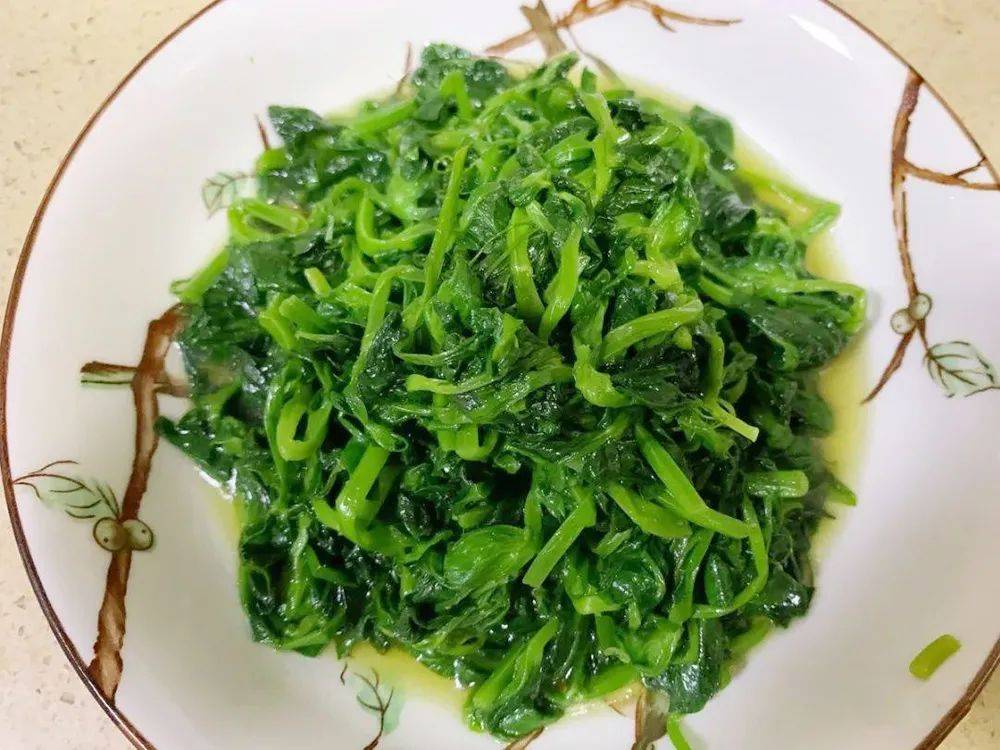 菊花芽野菜功效图片