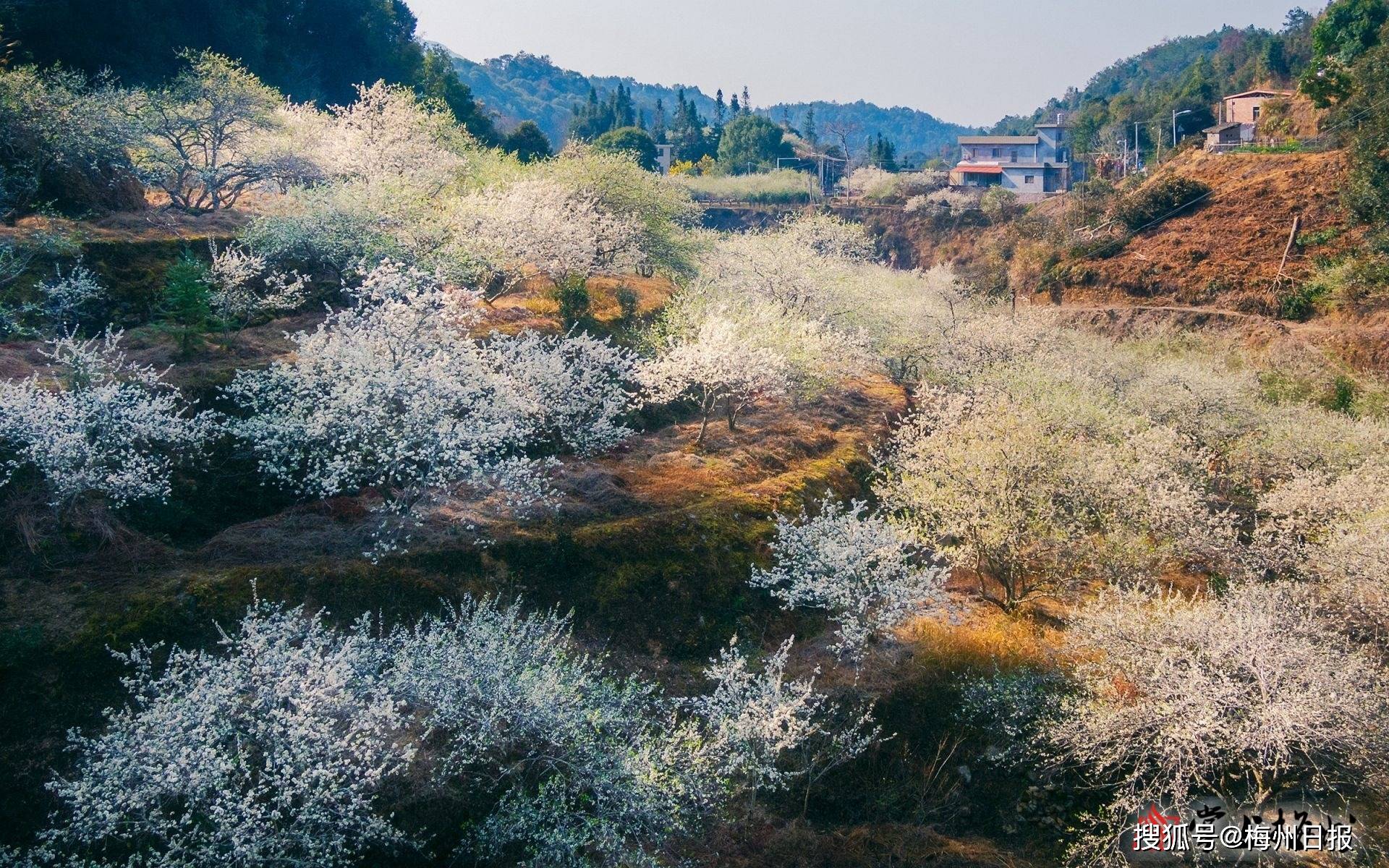 河头镇总人口_情头头像图片动漫