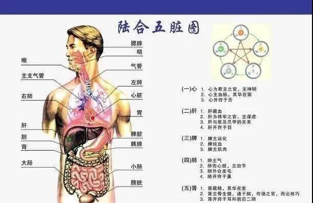 贵以|刘先银经典点说在睡眠中的补肾法：“还阳卧”和“混元卧”睡在哪里都睡在夜里