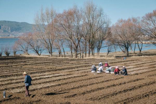 阳光强烈、水波温柔，共赴一场远道而来的浪漫