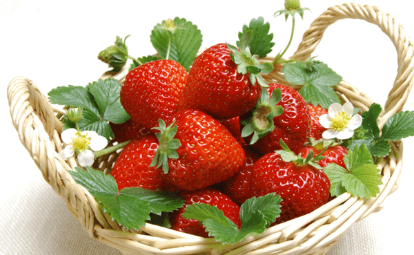 70fde4c744a247be83a7ed5a783c1ad0.png