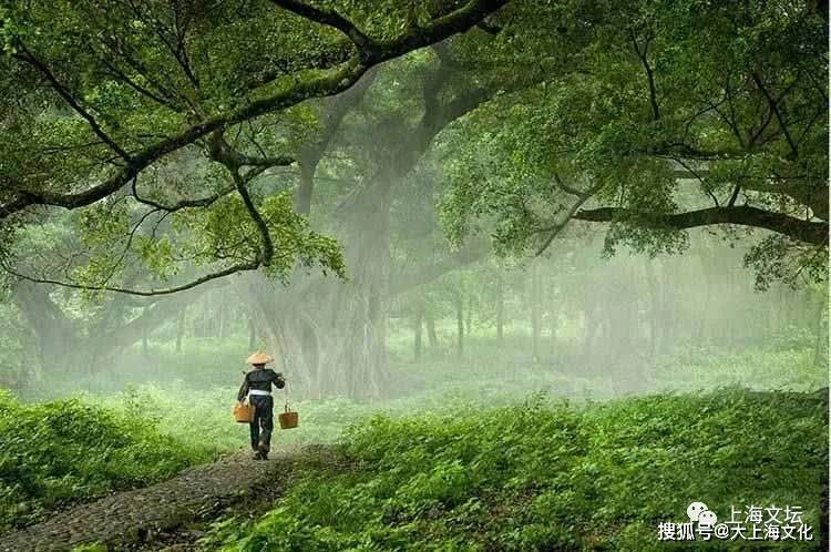 如果沒有雨,家鄉的莊稼是一句空話.