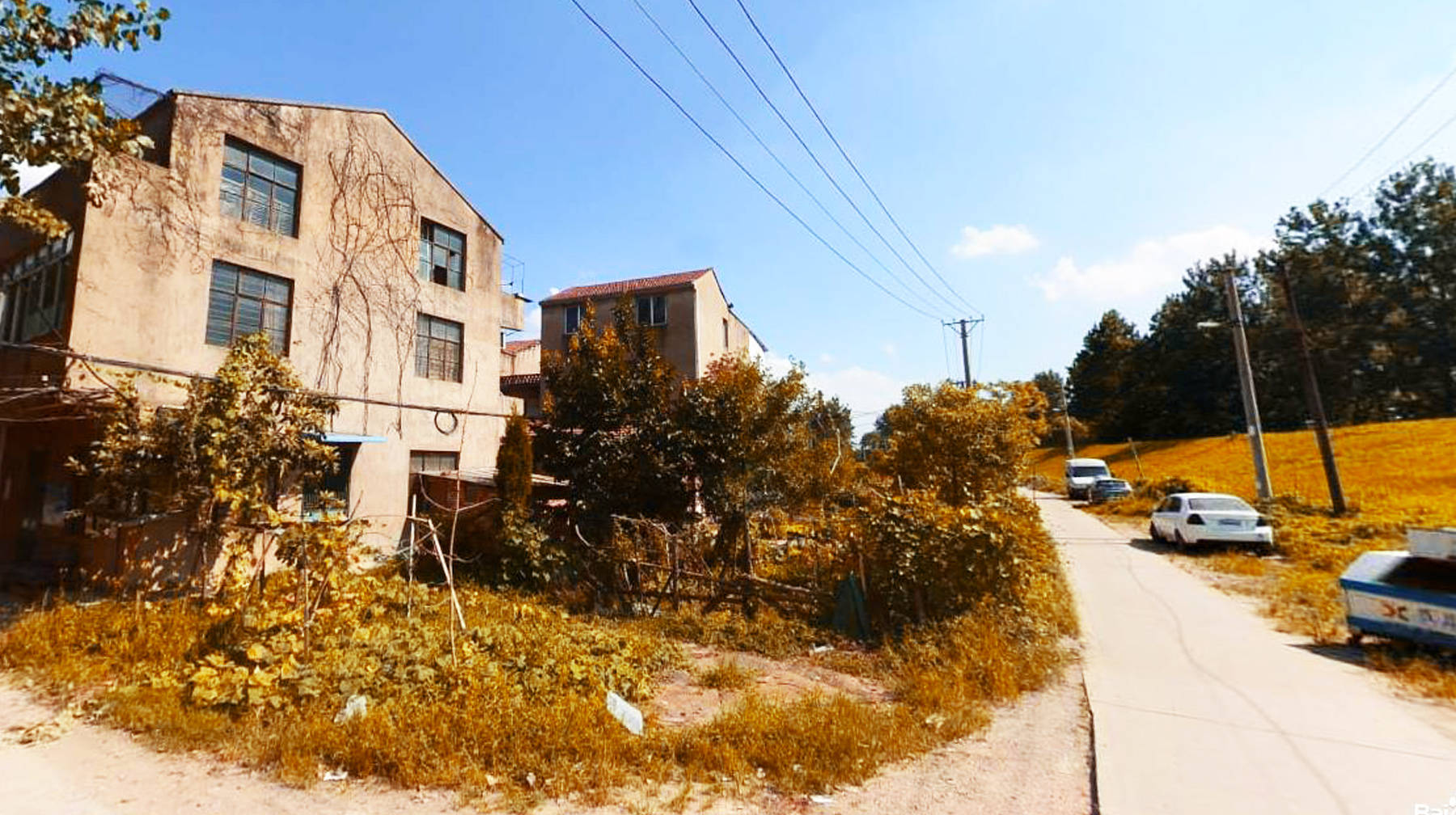 原创路过武汉城区朱家河河堤:村庄建在树林边,原生态环境美得像油画