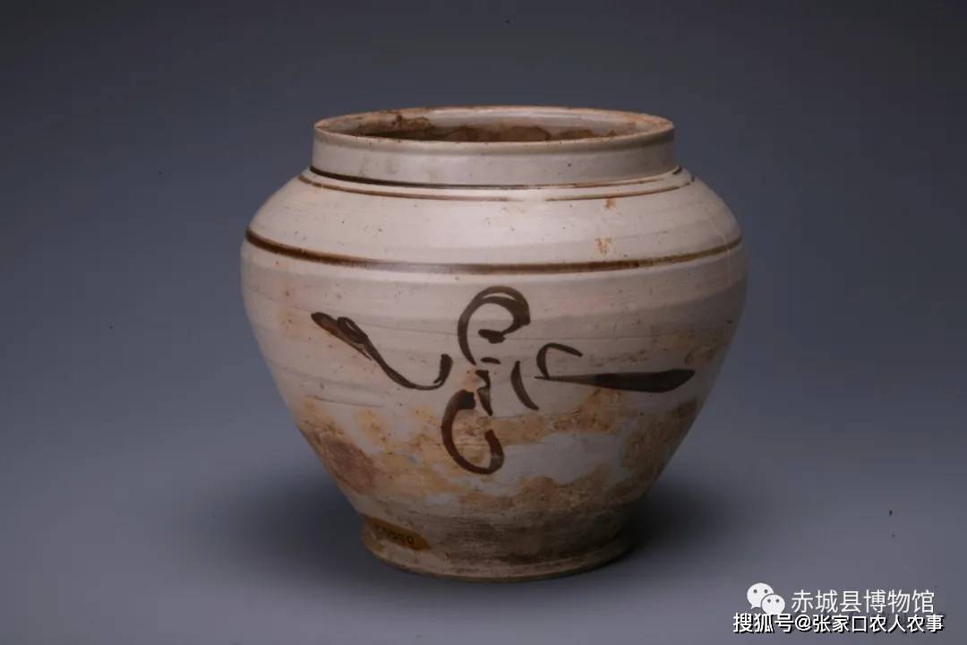 白釉褐彩花卉纹罐(1992年赤城县马营乡车家沟明代中期王佐墓出土)口径