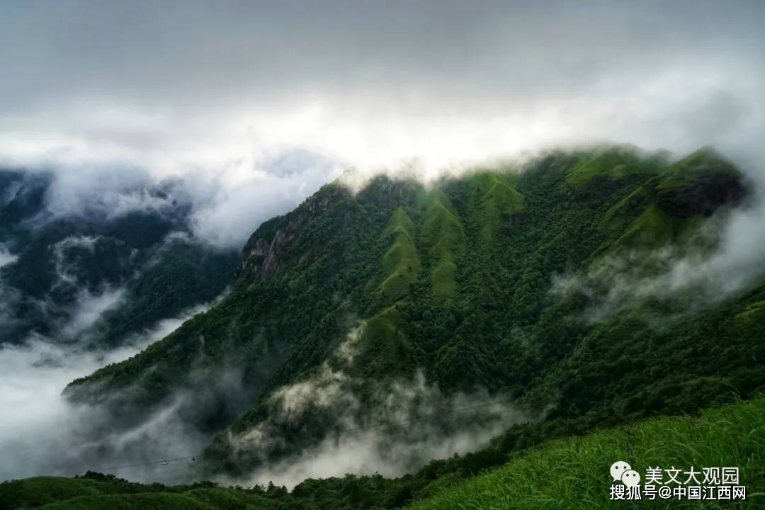 武功山人 | 舒仁庆